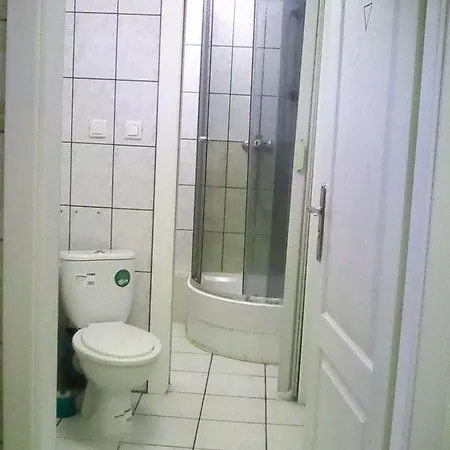 Проживание в семье Droznicza *