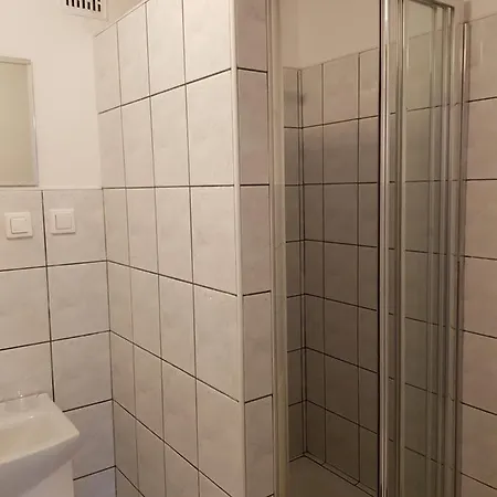 Проживание в семье Droznicza